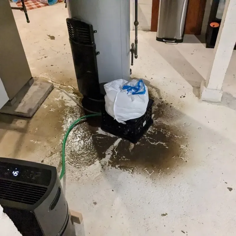 Sewage Backup Cleanup Service in Dunn County, ND